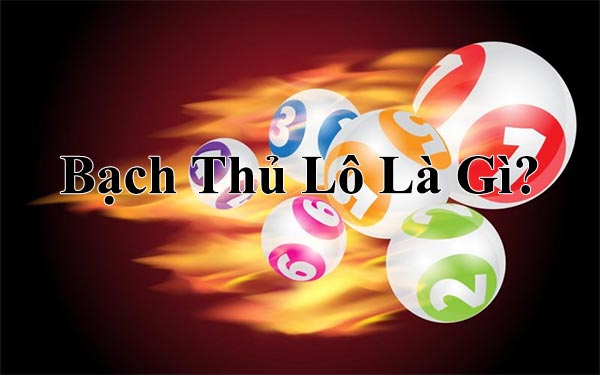 Bạch Thủ Lô Là Gì