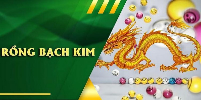 Rồng Bạch Kim Là Gì